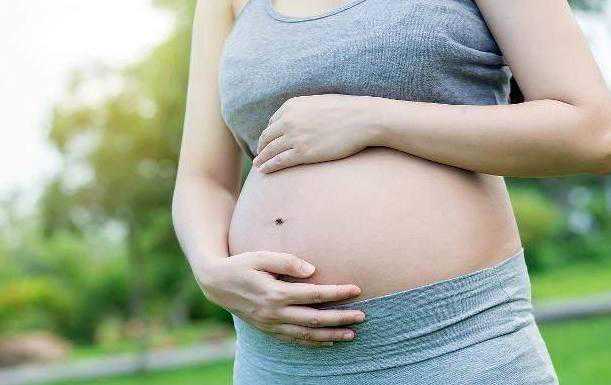 高成功率的助孕指南：3步实现透明费用