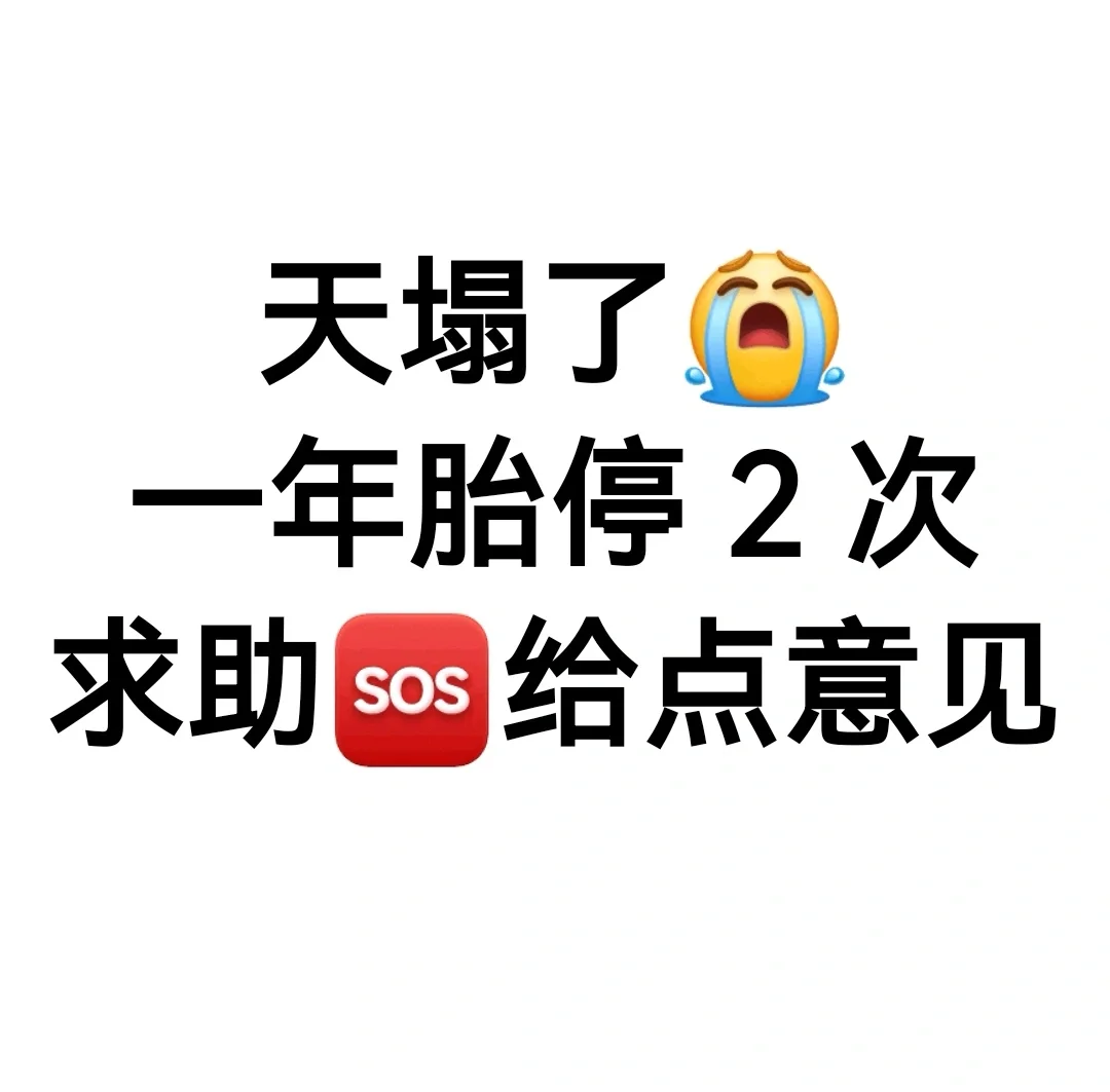 卵子捐赠助孕：解析生男孩的全面指南